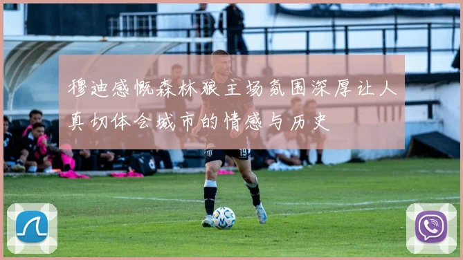 穆迪感慨森林狼主场氛围深厚让人真切体会城市的情感与历史